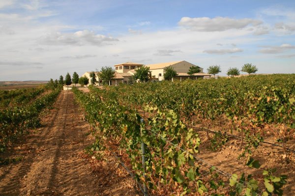 走进西班牙拉曼恰产区Exotic Winds酒庄