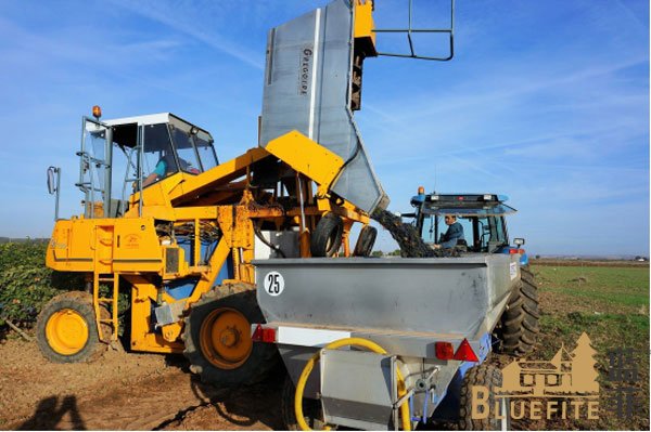 走进西班牙拉曼恰产区Exotic Winds酒庄